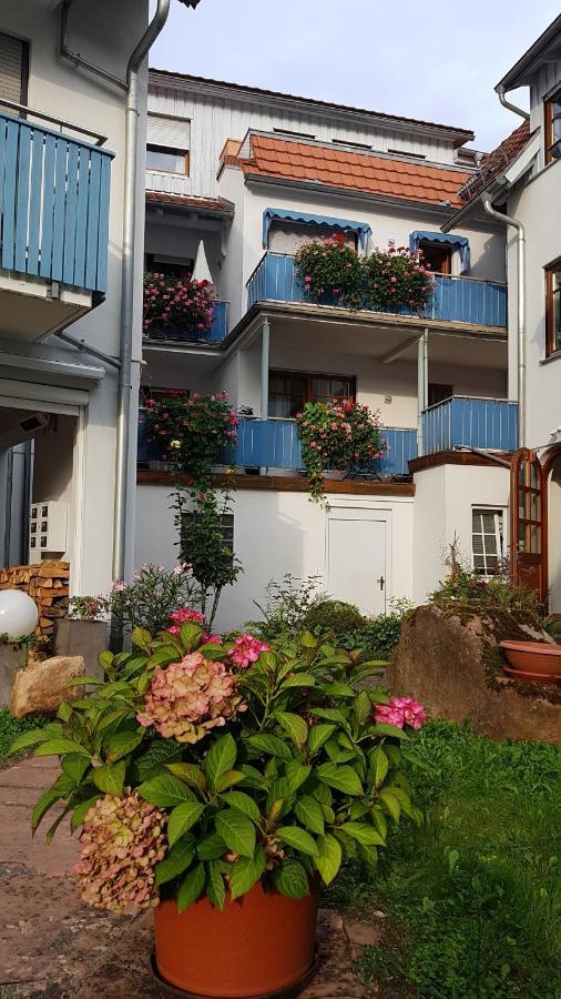 Hotel Wappenstube Эрбах Экстерьер фото