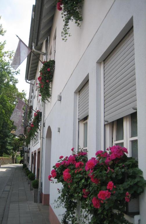 Hotel Wappenstube Эрбах Экстерьер фото